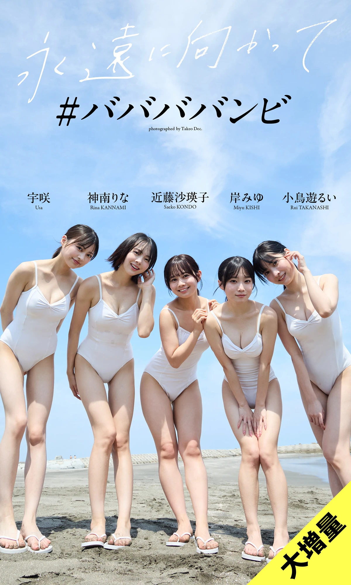 babababambi ＃ババババンビ, 写真集 「永遠に向かって」
